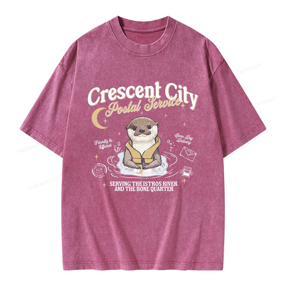 Pagewing Reading Fantasy Bookish Unisex Washed T-shirt