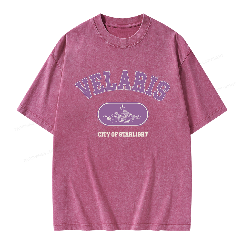 Pagewings Fantasy Book Lover Unisex Washed T-shirt