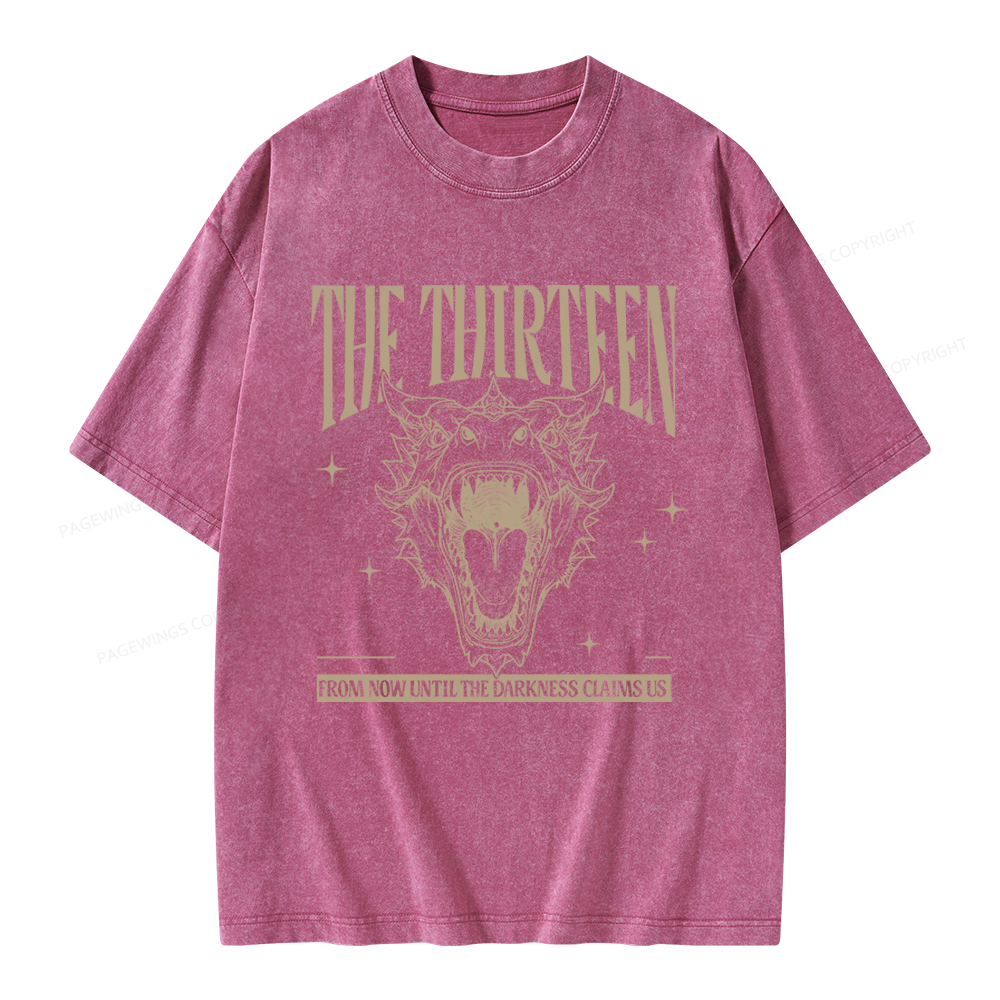 Pagewings Fantasy Bookish Unisex Washed T-shirt