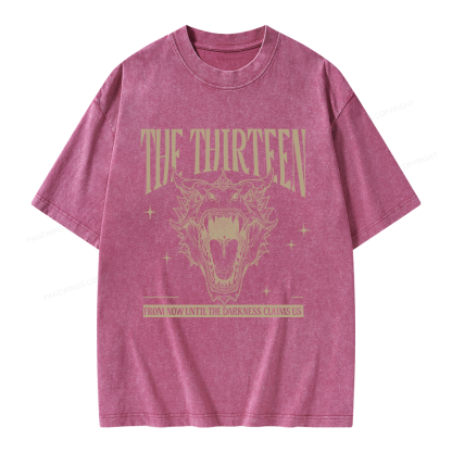 Pagewings Fantasy Bookish Unisex Washed T-shirt