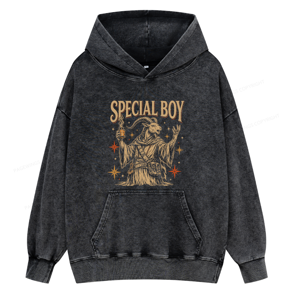 Pagewings Sci-Fi Book Lover Unisex Washed Hoodie