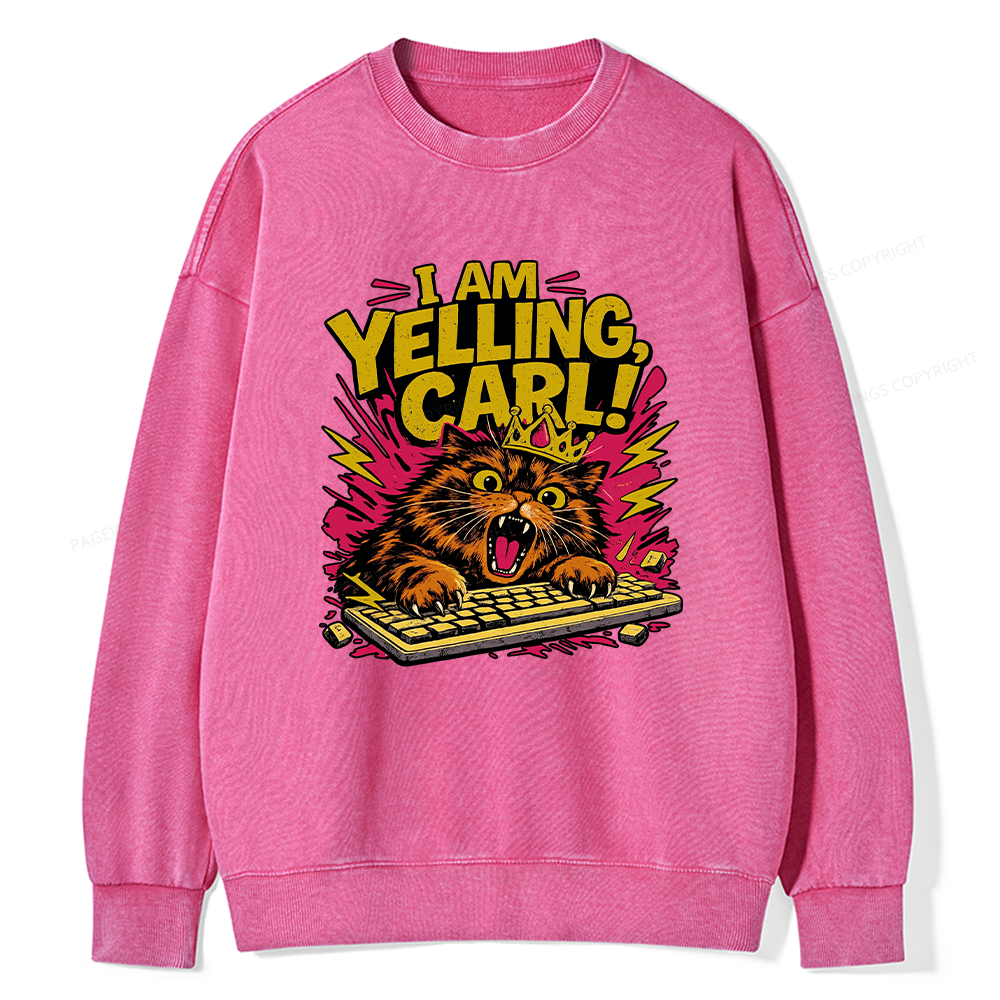 Pagewings Fantasy Book Reader Unisex Washed Sweatshirt