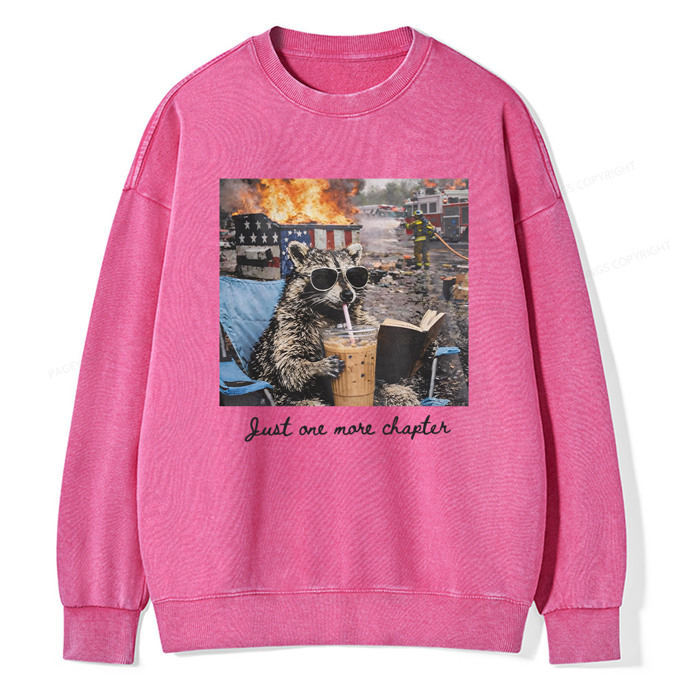 Pagewings Just One More Chapter Unisex Washed Sweatshirt