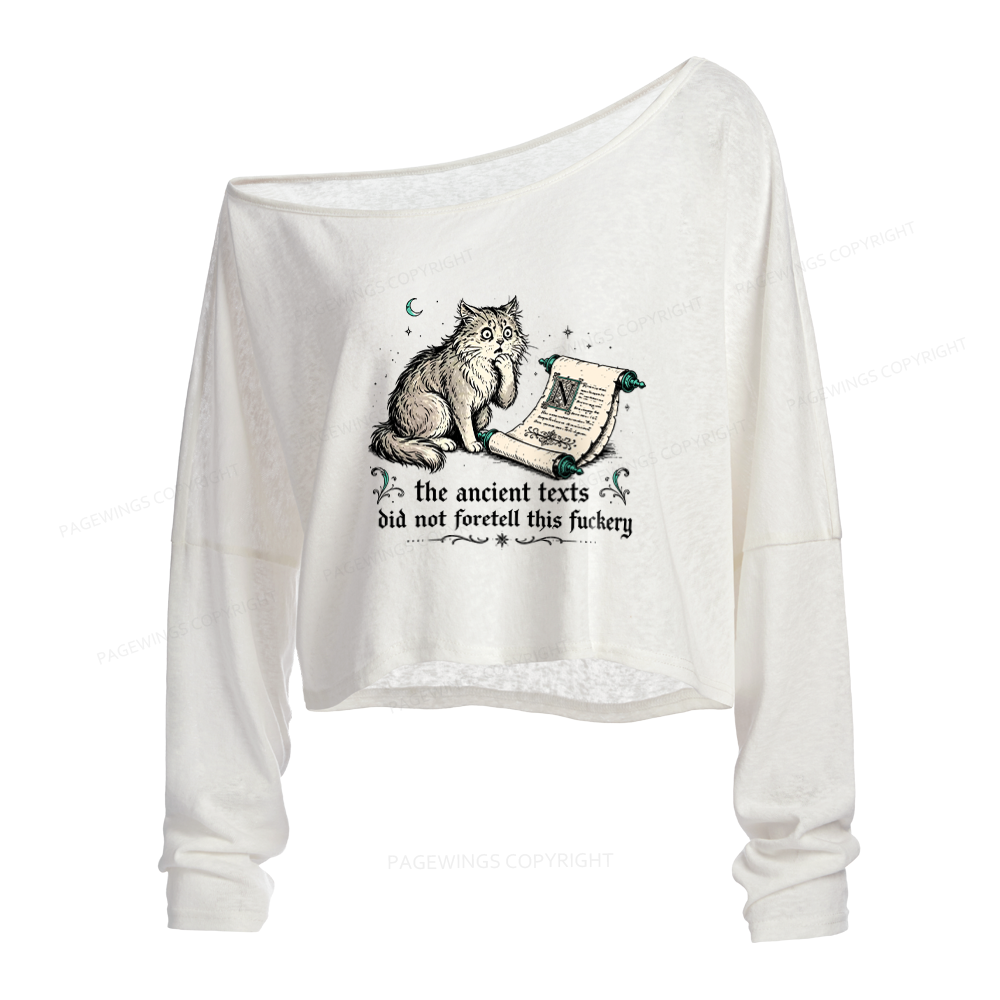 Pagewings Funny Medieval Cat Slouchy Long Sleeve Off Shoulder T-shirt