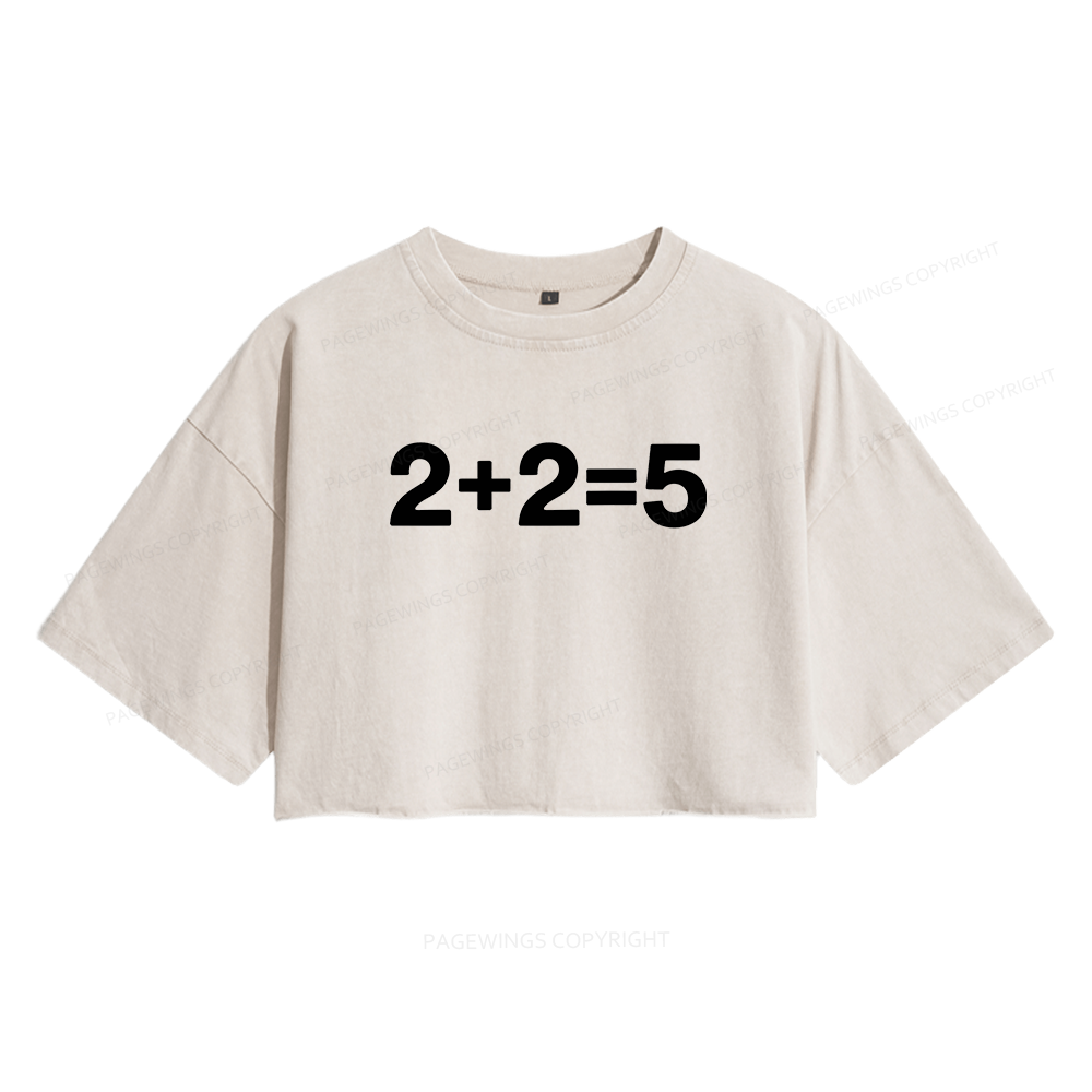 Pagewings Orwell Math Women's Washed Cropped T-shirt