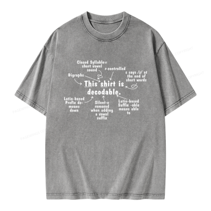 Pagewing This Shirt Is Decodable Unisex Washed T-shirt