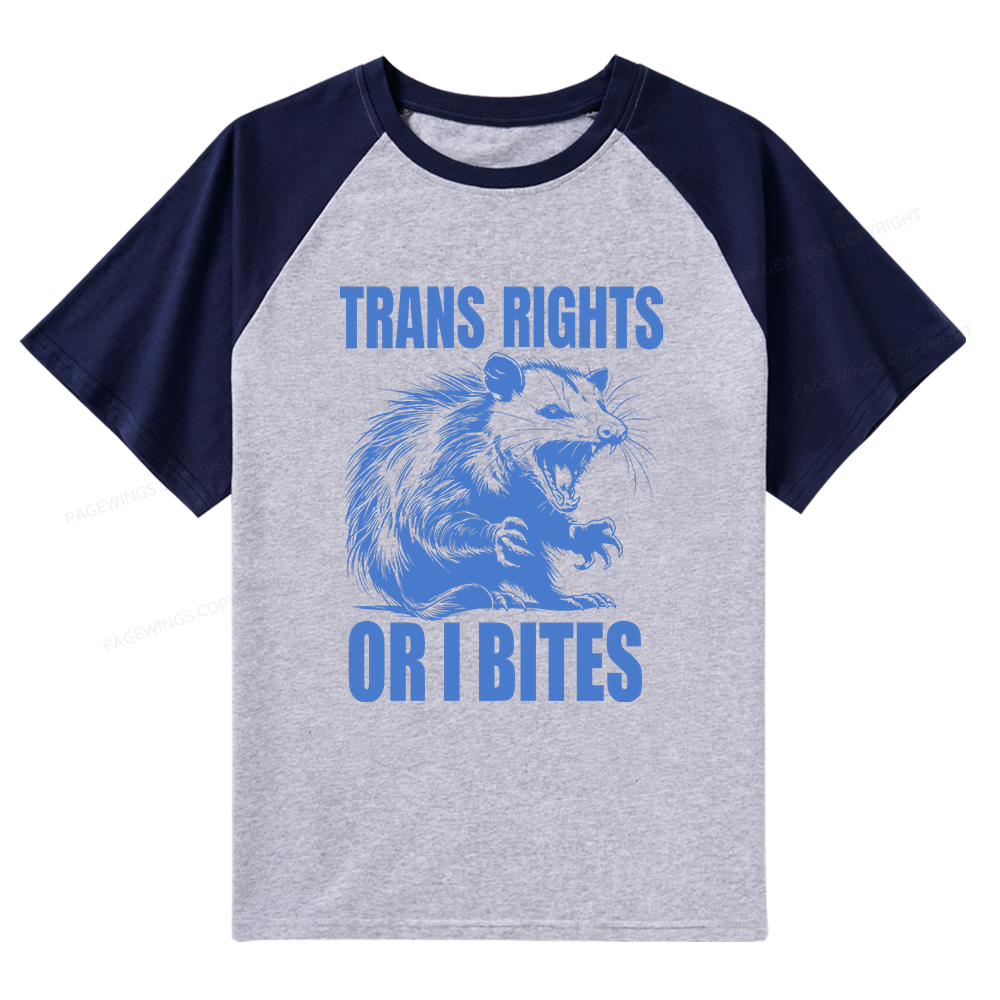Pagewings Trans Rights 15860 Bookish Raglan T-shirt