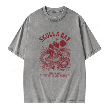 Pagewing Reading Fantasy Bookish Unisex Washed T-shirt