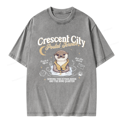 Pagewing Reading Fantasy Bookish Unisex Washed T-shirt