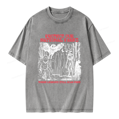 Pagewings Protect Our Parks Vintage Camping Unisex Washed T-shirt