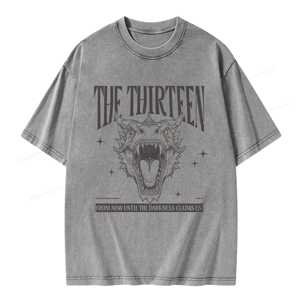 Pagewings Fantasy Bookish Unisex Washed T-shirt