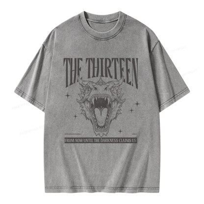 Pagewings Fantasy Bookish Unisex Washed T-shirt