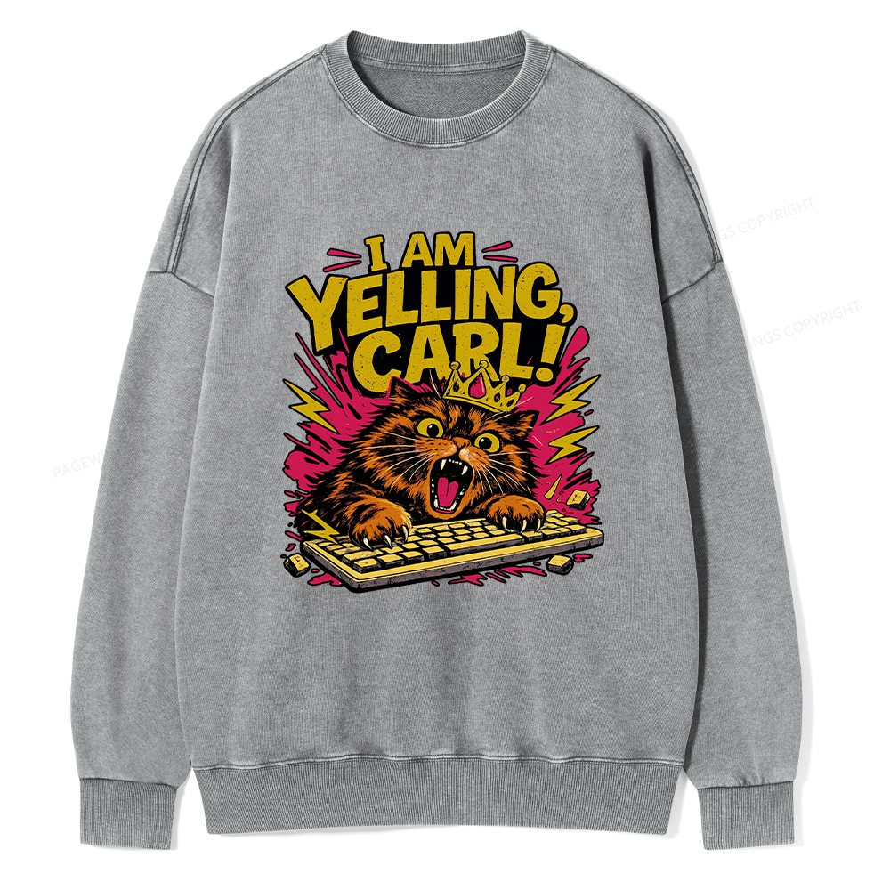 Pagewings Fantasy Book Reader Unisex Washed Sweatshirt