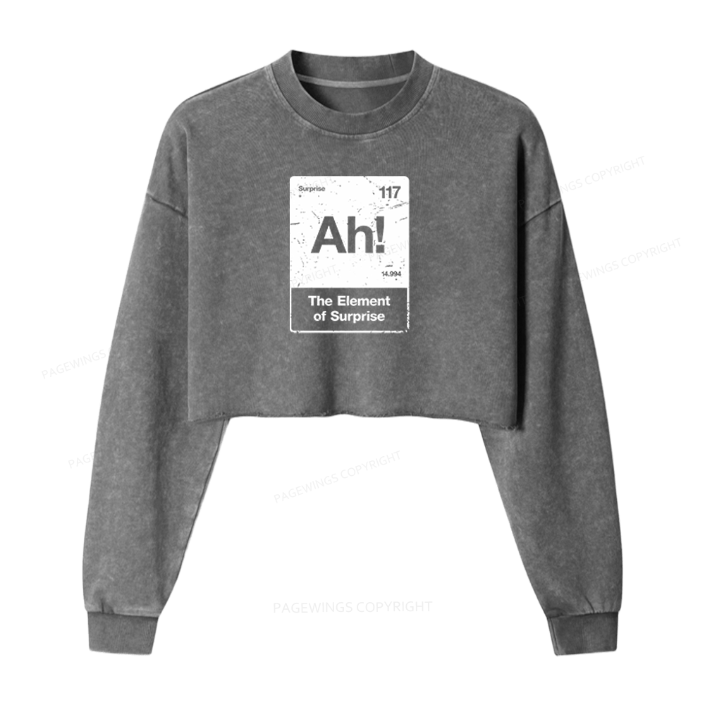 Pagewings The Element Of Surprise Washed Crop Sweatshirt