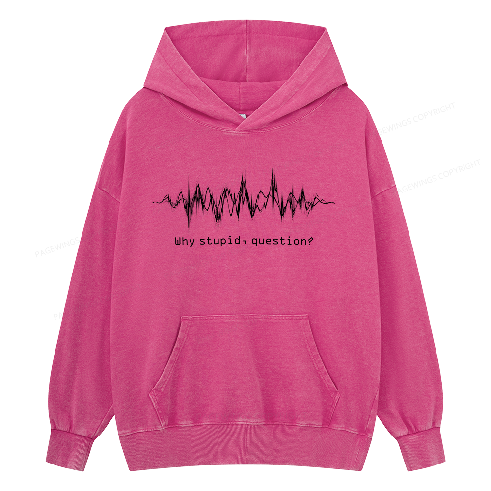 Pagewings Why Stupid Question Unisex Washed Hoodie