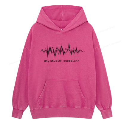 Pagewings Why Stupid Question Unisex Washed Hoodie