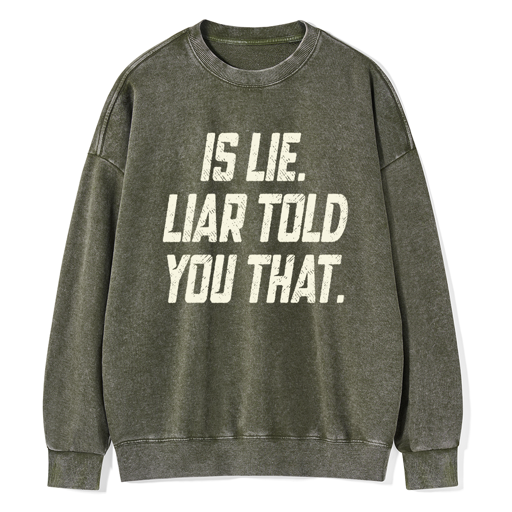 Pagewings Is Lie Liar Told You That Unisex Washed Sweatshirt