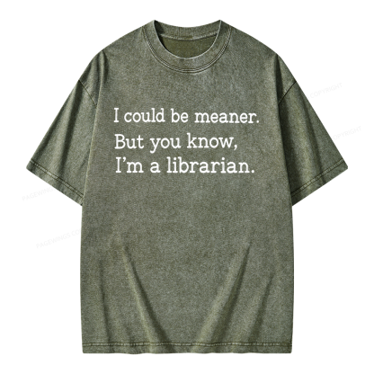 Pagewings I Could Be Meaner Unisex Washed T-shirt