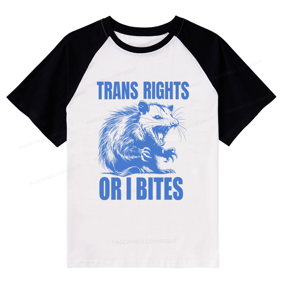 Pagewings Trans Rights 15860 Bookish Raglan T-shirt