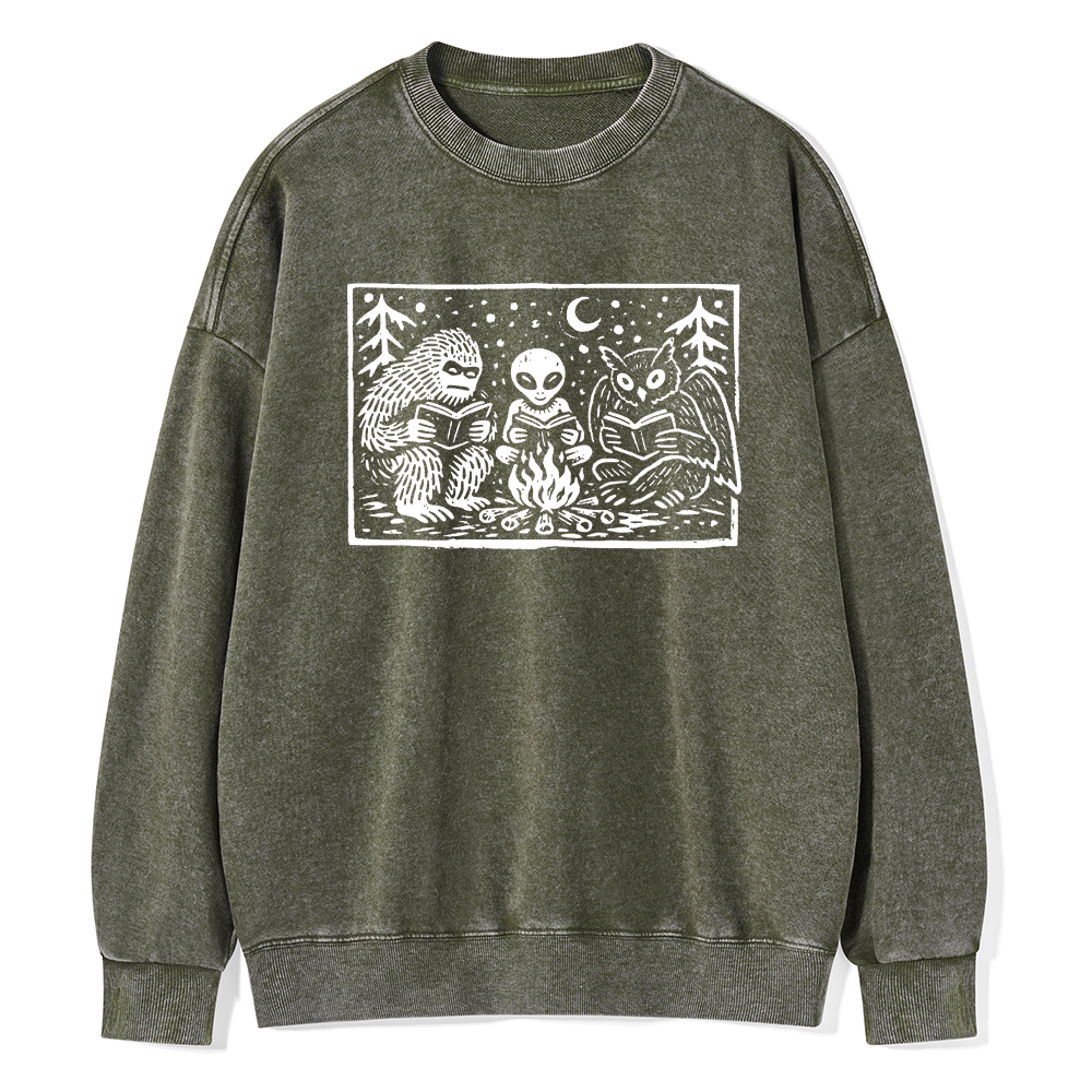 Pagewings Book Lover Unisex Washed Sweatshirt