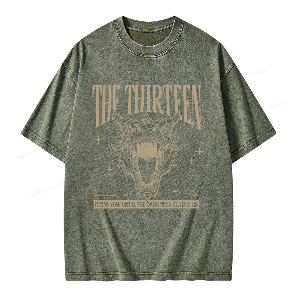 Pagewings Fantasy Bookish Unisex Washed T-shirt