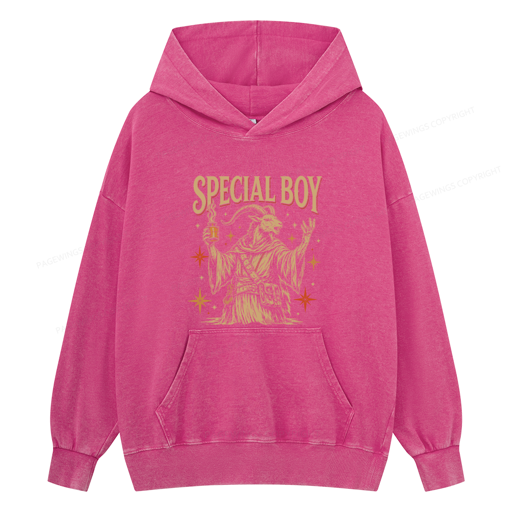 Pagewings Sci-Fi Book Lover Unisex Washed Hoodie
