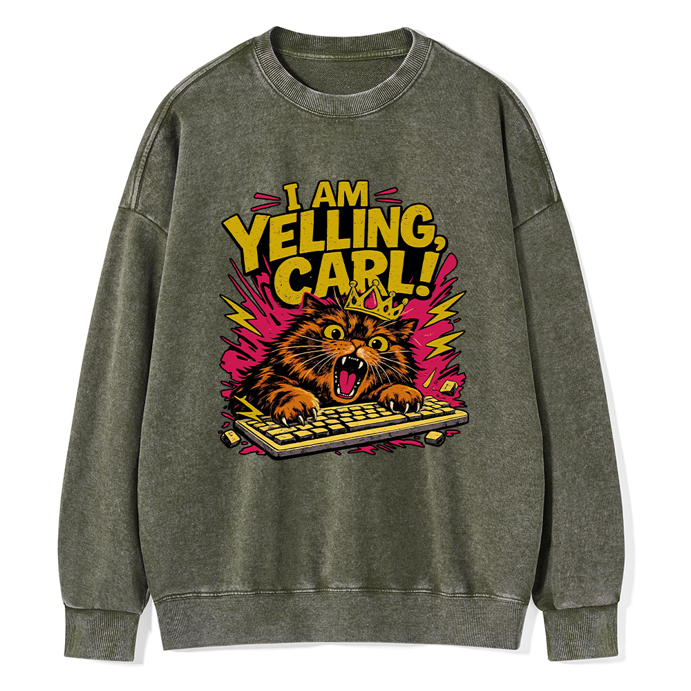 Pagewings Fantasy Book Reader Unisex Washed Sweatshirt