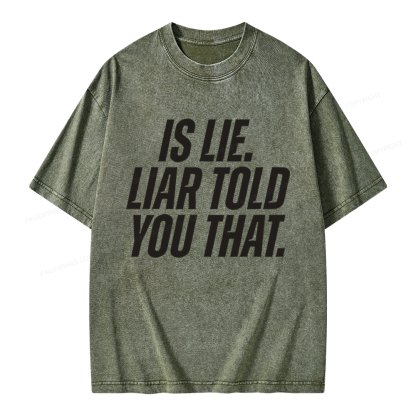 Pagewings Is Lie Liar Told You That Unisex Washed T-shirt