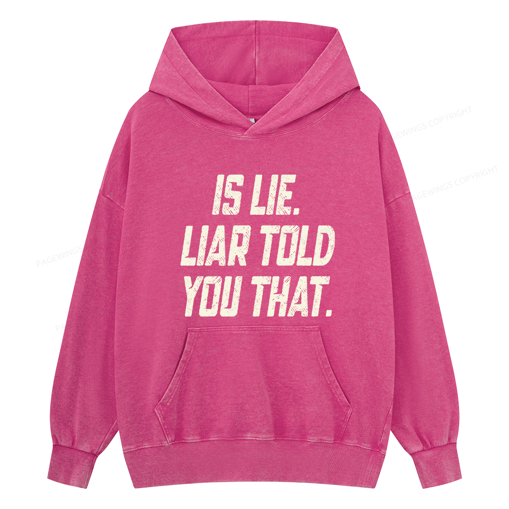 Pagewings Is Lie Liar Told You That Unisex Washed Hoodie