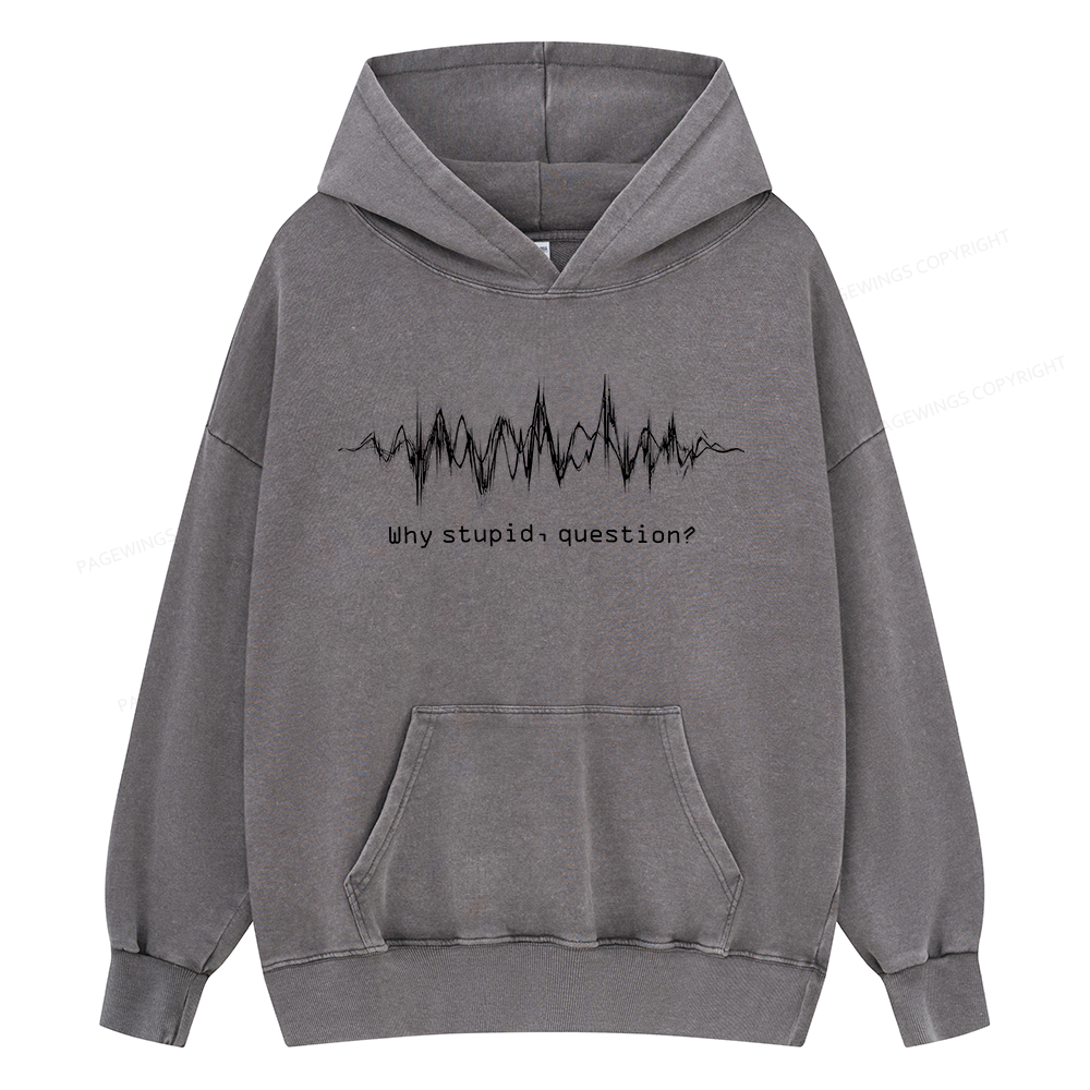 Pagewings Why Stupid Question Unisex Washed Hoodie