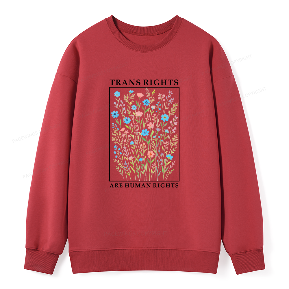 Pagewings Trans Rights Are Human Rights Dragon Book Unisex Classic Sweatshirt
