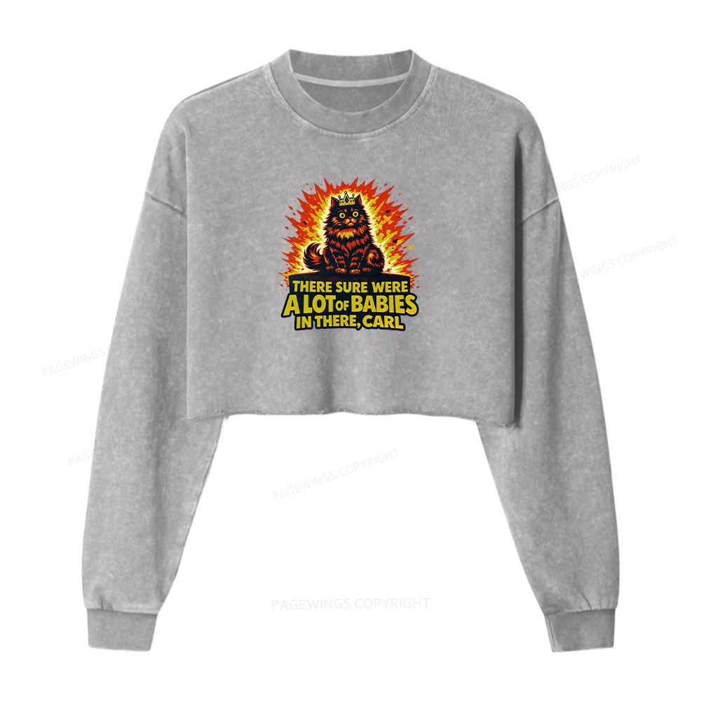 Pagewings A Lot Of Babies In There Washed Crop Sweatshirt