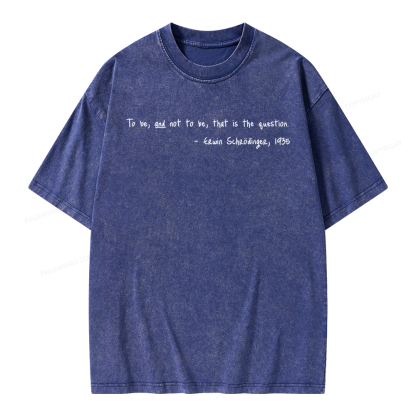 Pagewing Shakespeare meets Schrodinger Unisex Washed T-shirt