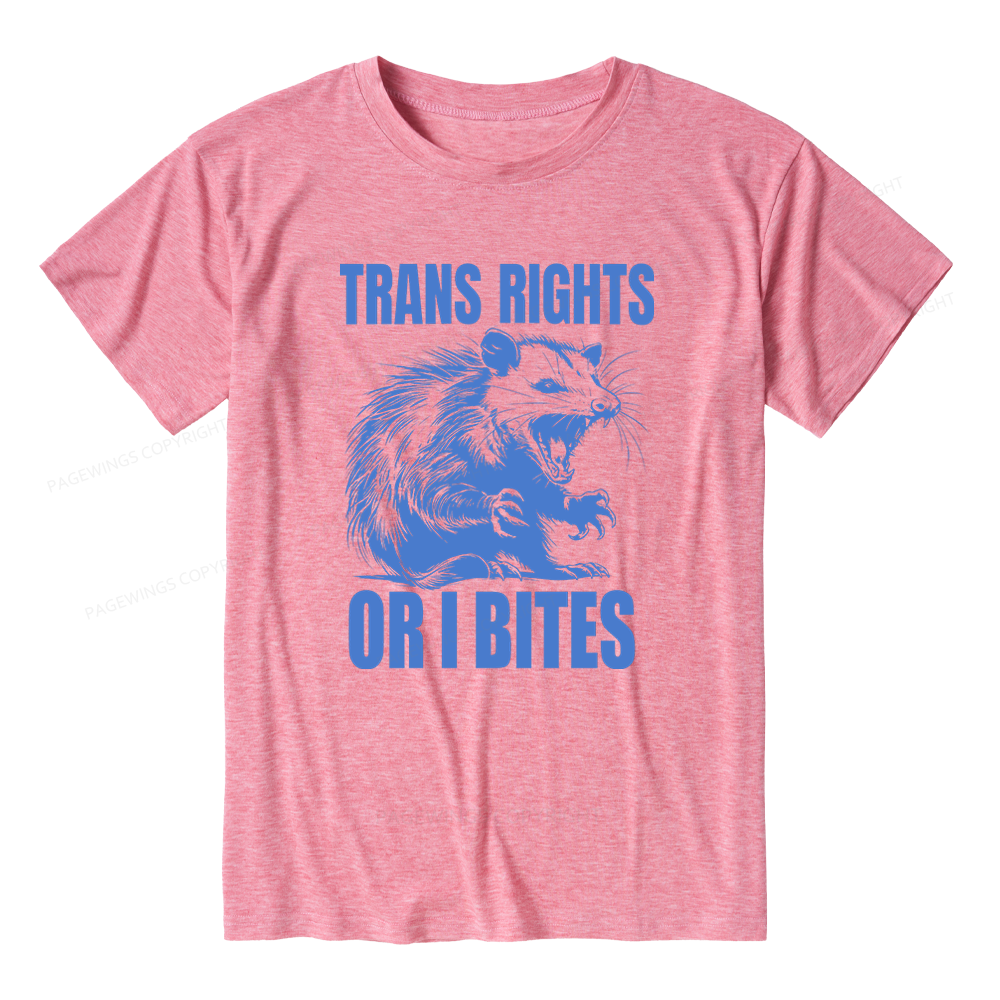 Pagewings Soft Inclusive Trans Rights 15860 Bookish Unisex Heather T-Shirt