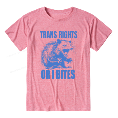 Pagewings Soft Inclusive Trans Rights 15860 Bookish Unisex Heather T-Shirt