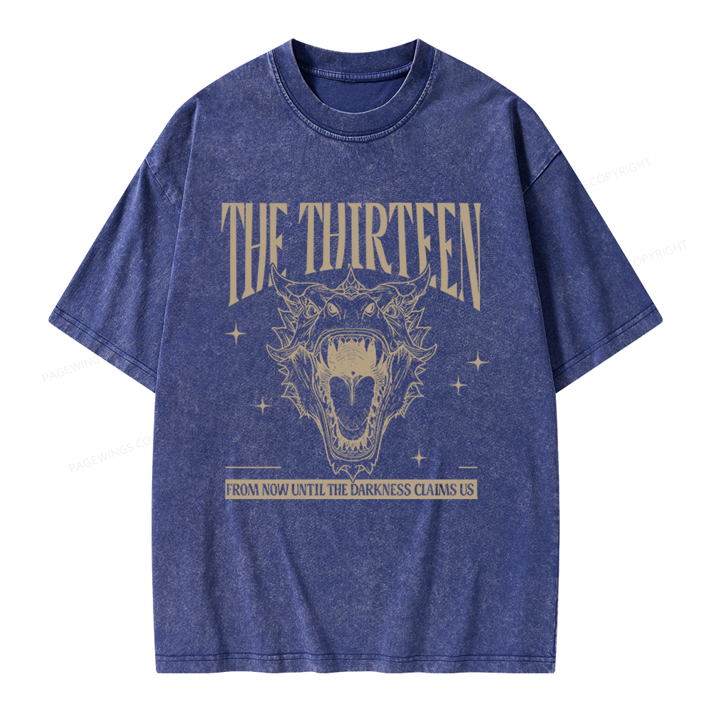 Pagewings Fantasy Bookish Unisex Washed T-shirt