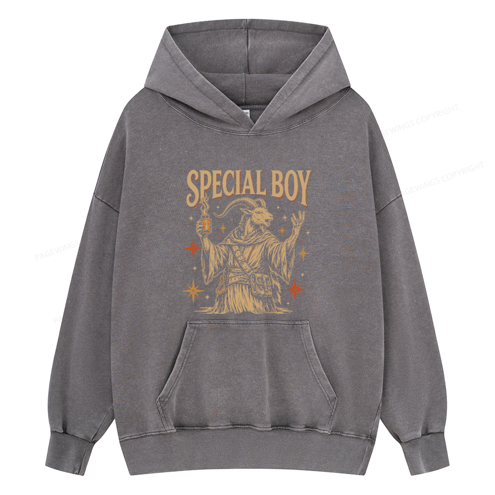 Pagewings Sci-Fi Book Lover Unisex Washed Hoodie
