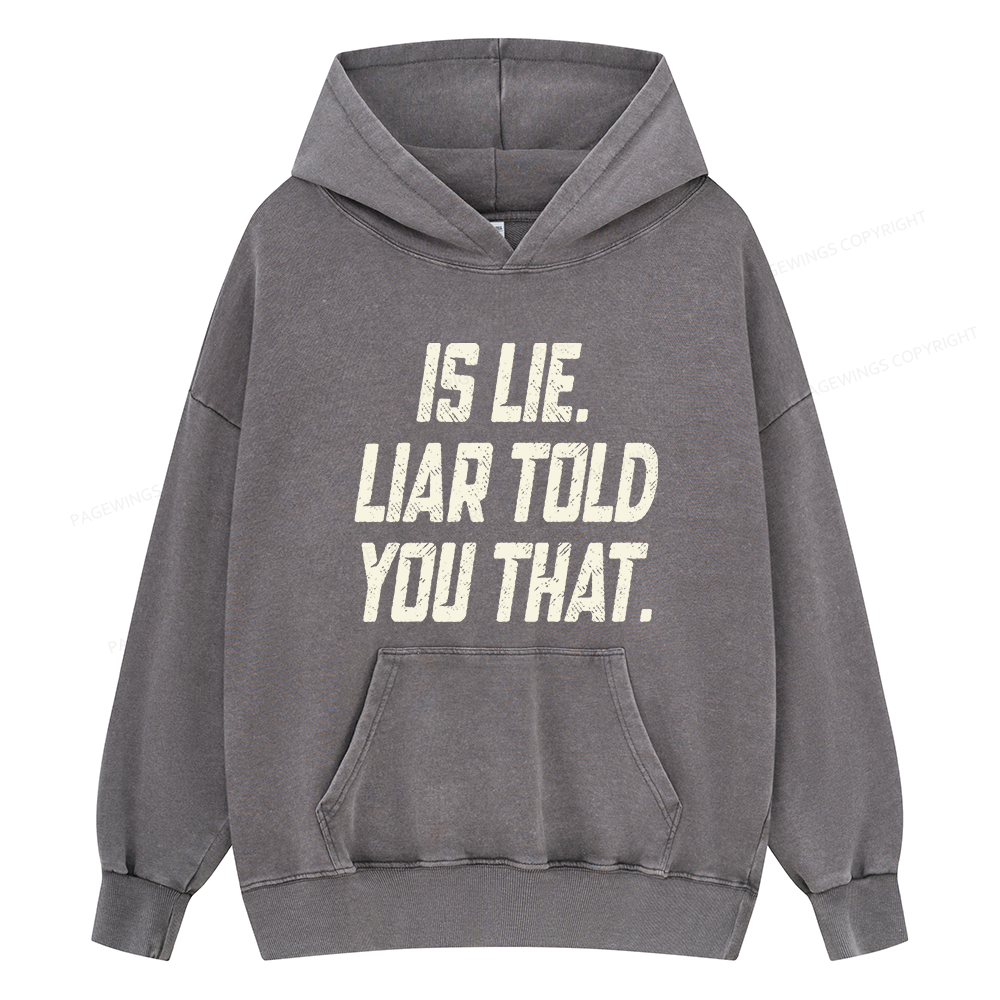Pagewings Is Lie Liar Told You That Unisex Washed Hoodie