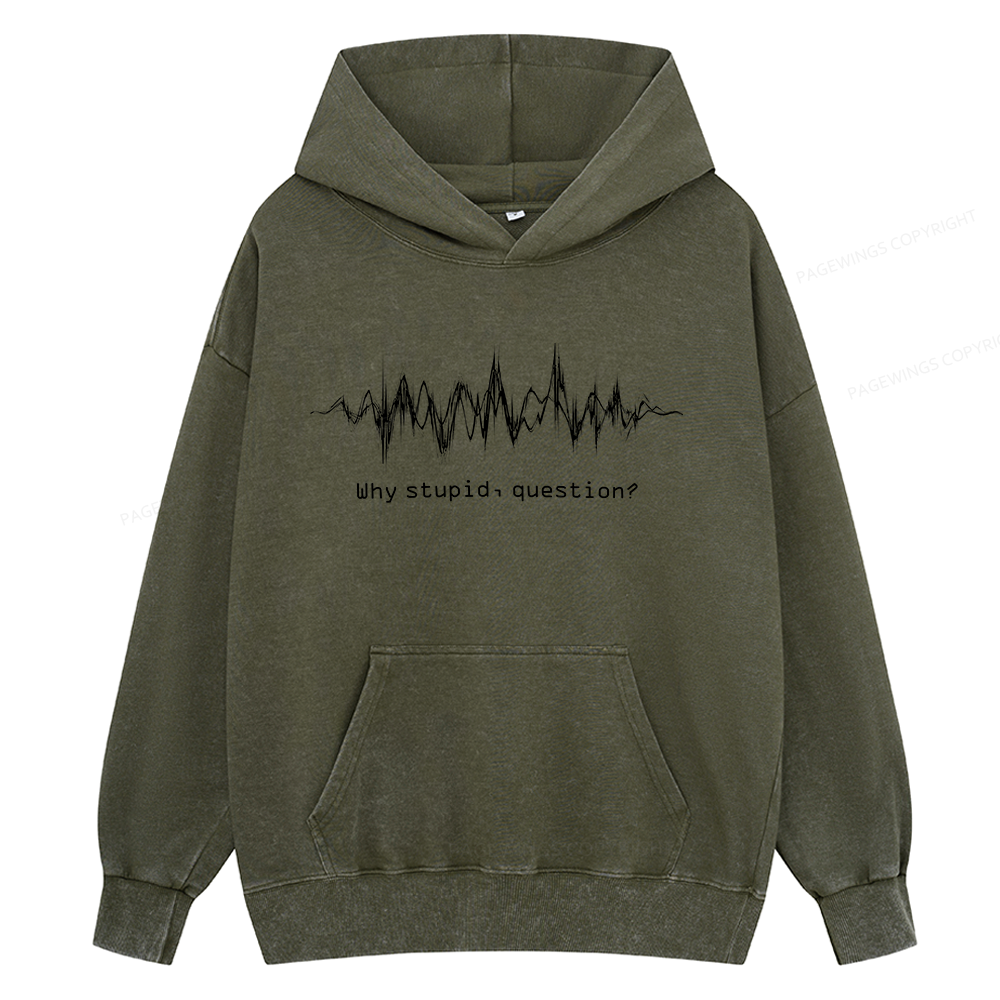 Pagewings Why Stupid Question Unisex Washed Hoodie