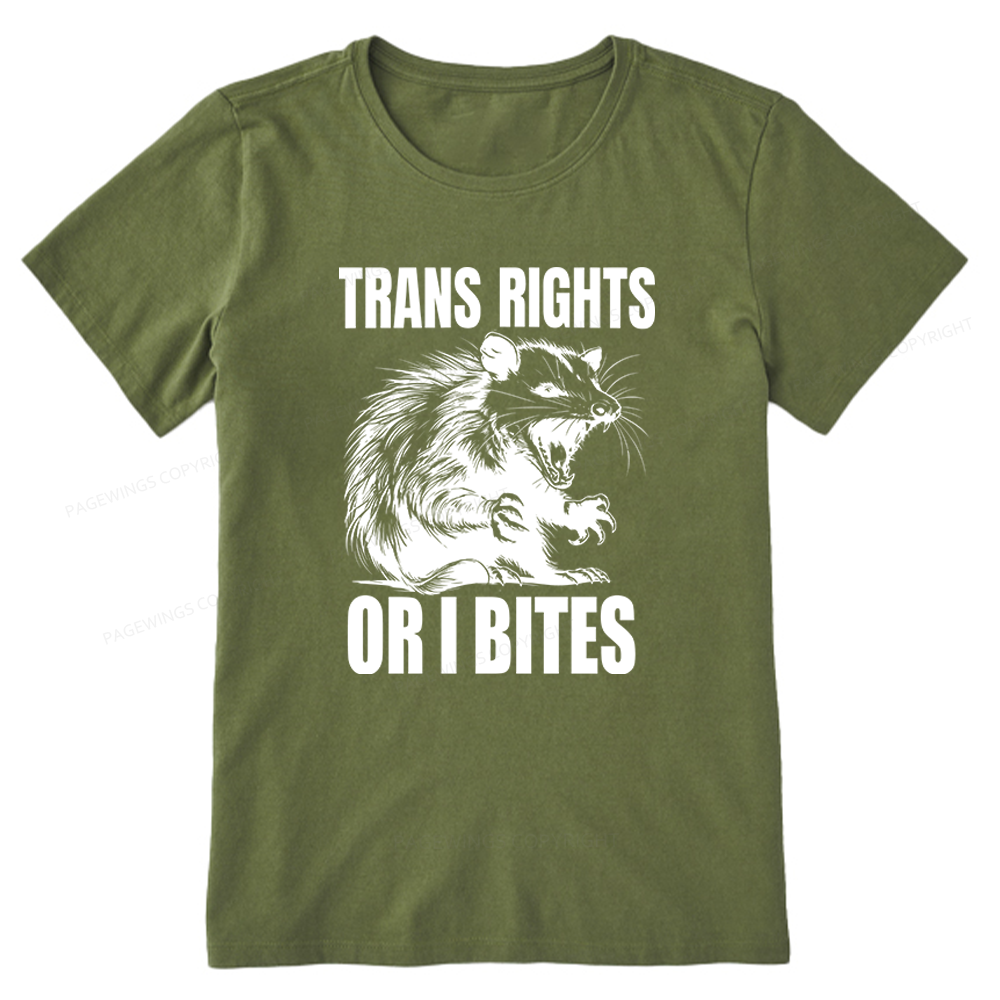 Pagewings Trans Rights Unisex Classic T-shirt