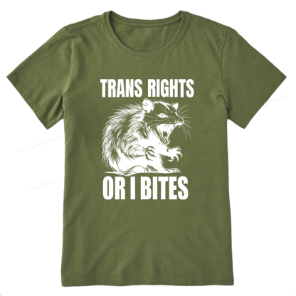 Pagewings Trans Rights Unisex Classic T-shirt