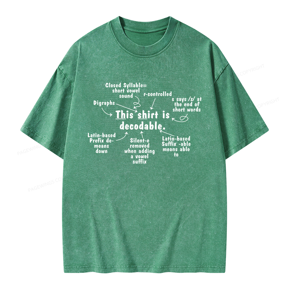 Pagewing This Shirt Is Decodable Unisex Washed T-shirt