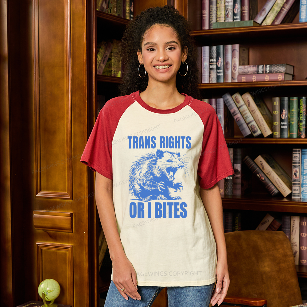Pagewings Trans Rights 15860 Bookish Raglan T-shirt