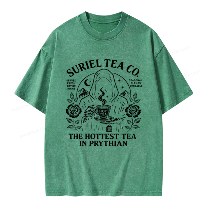 Pagewing Reading Fantasy Bookish Unisex Washed T-shirt