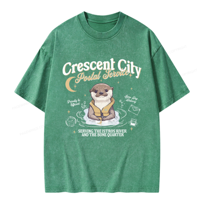 Pagewing Reading Fantasy Bookish Unisex Washed T-shirt