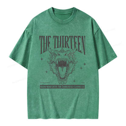 Pagewings Fantasy Bookish Unisex Washed T-shirt