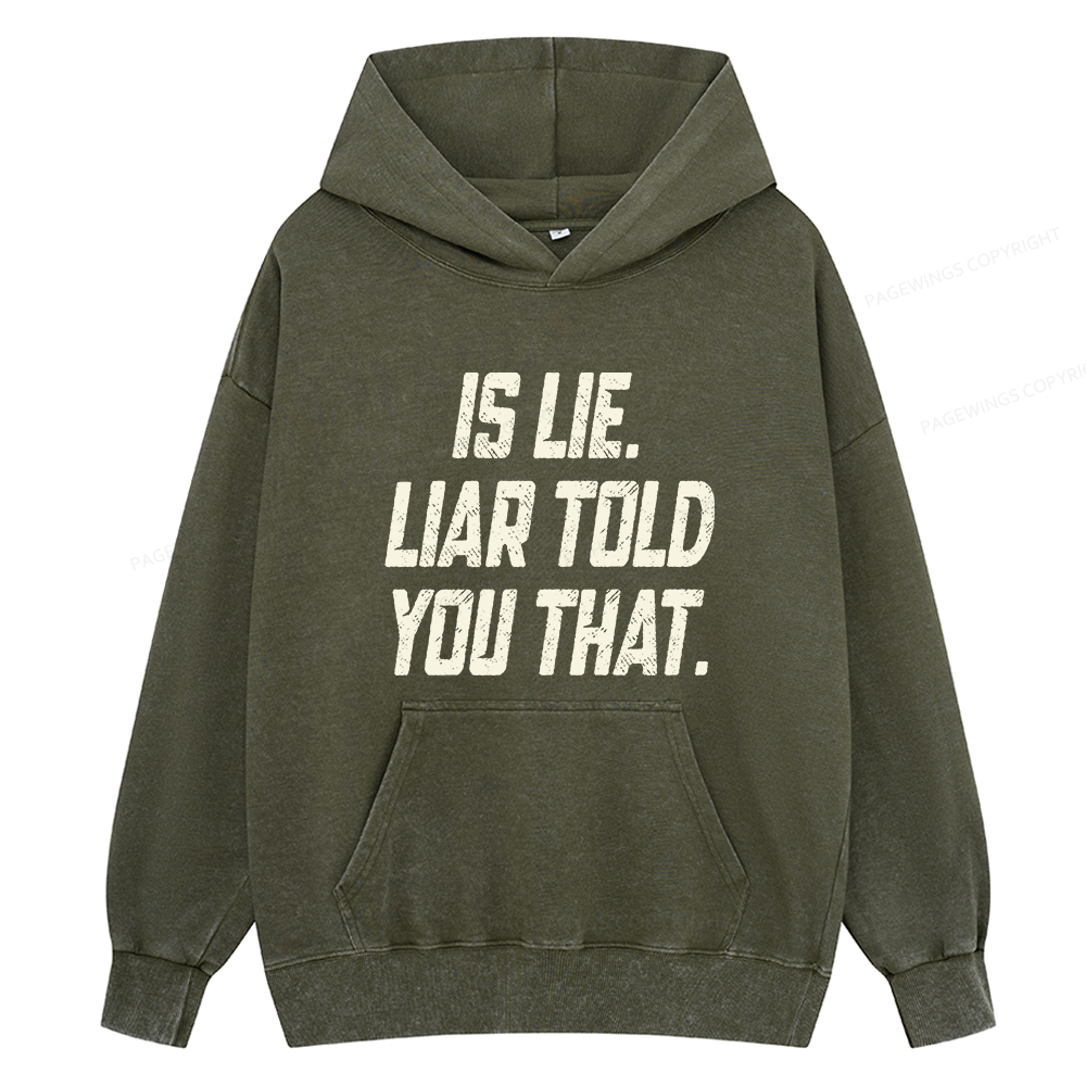 Pagewings Is Lie Liar Told You That Unisex Washed Hoodie