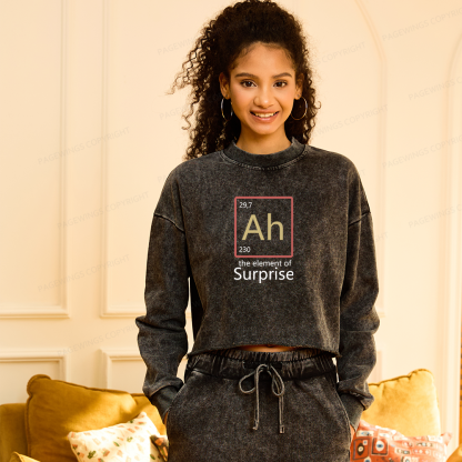 Pagewings The Element of Surprise Washed Crop Sweatshirt