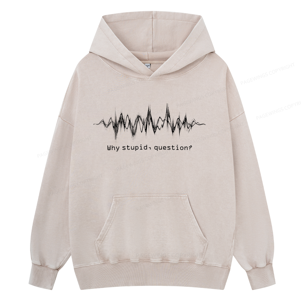 Pagewings Why Stupid Question Unisex Washed Hoodie