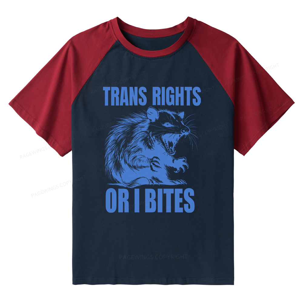 Pagewings Trans Rights 15860 Bookish Raglan T-shirt